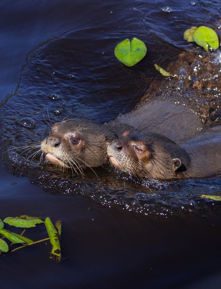 Explore the corridor